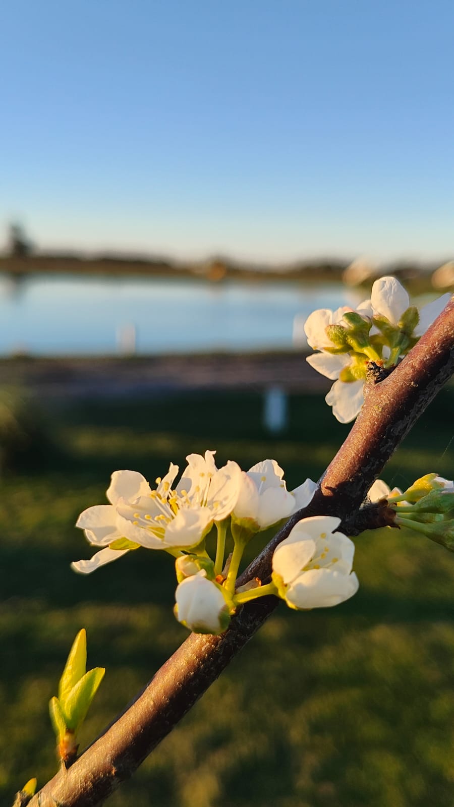 Paisaje natural de El Molino