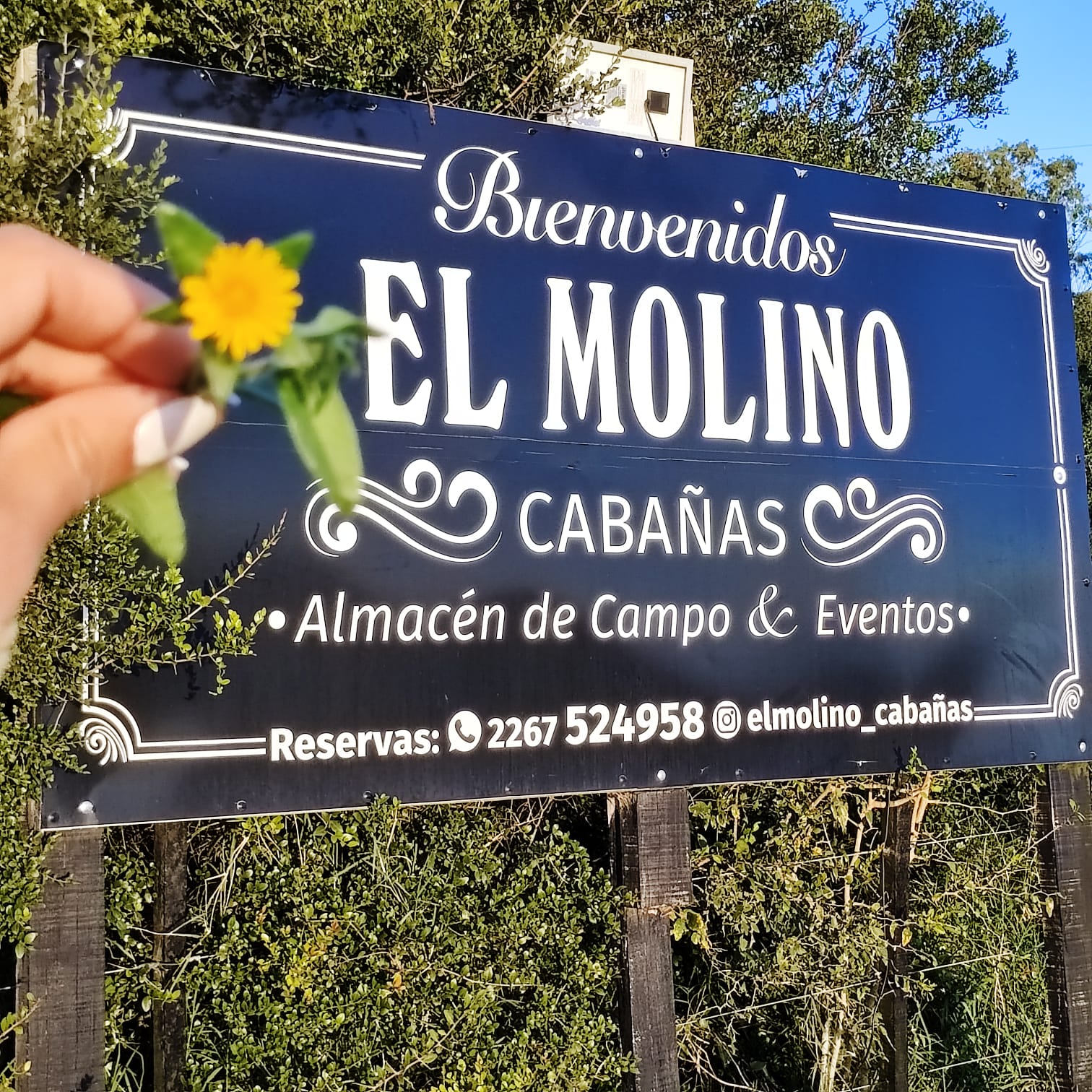 Interior del almacén 5