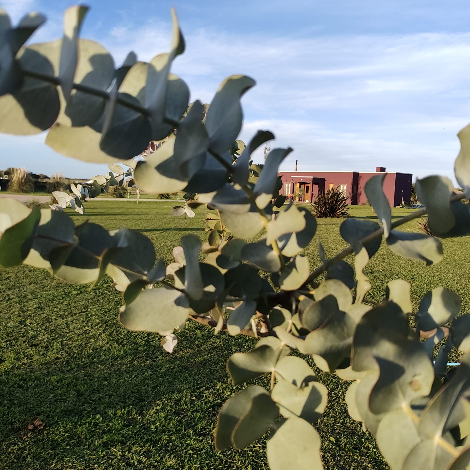 Vista exterior de la cabaña