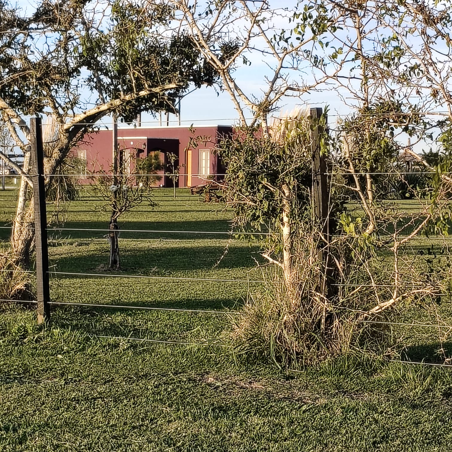 Terraza o vista de la cabaña