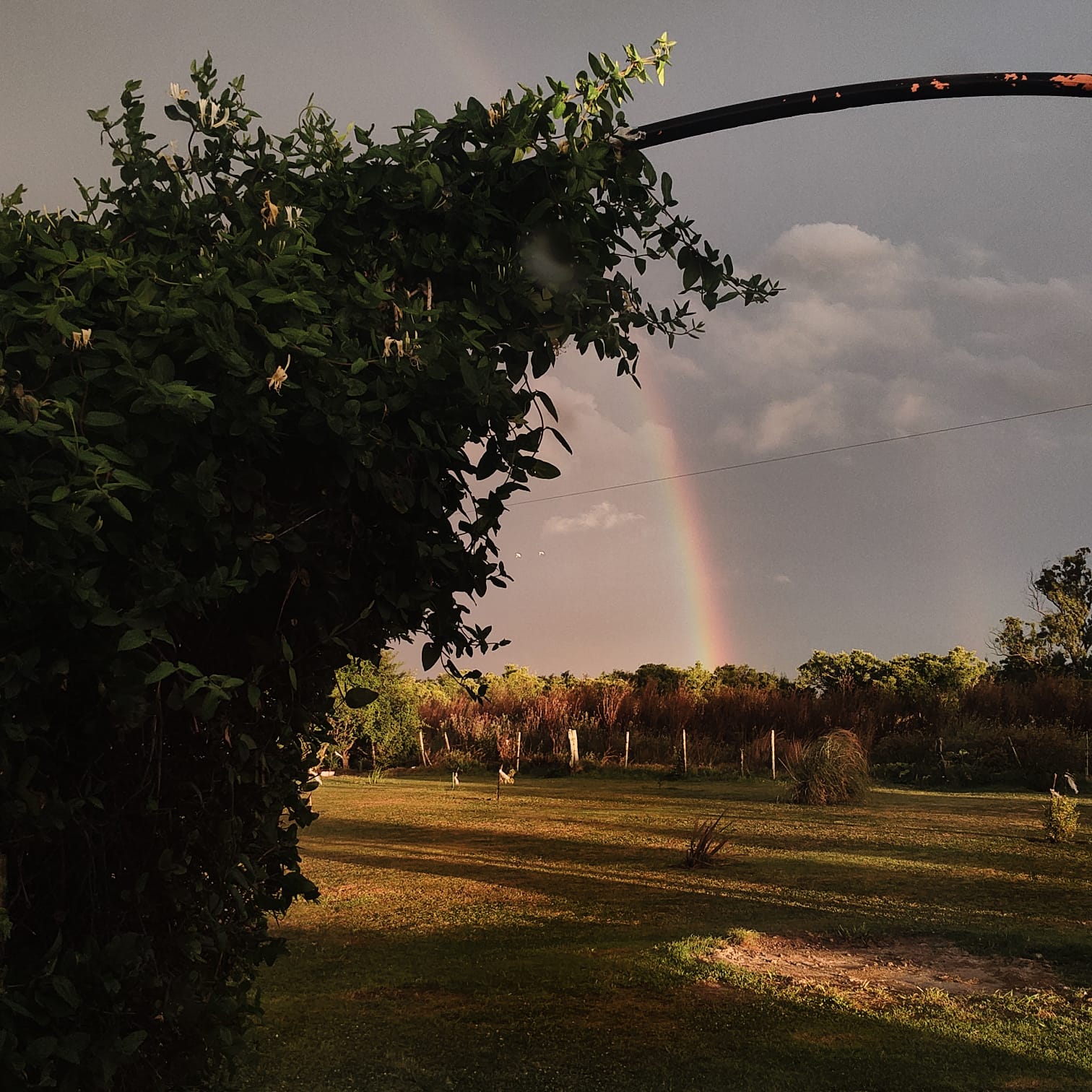 Exterior de las cabañas y jardín
